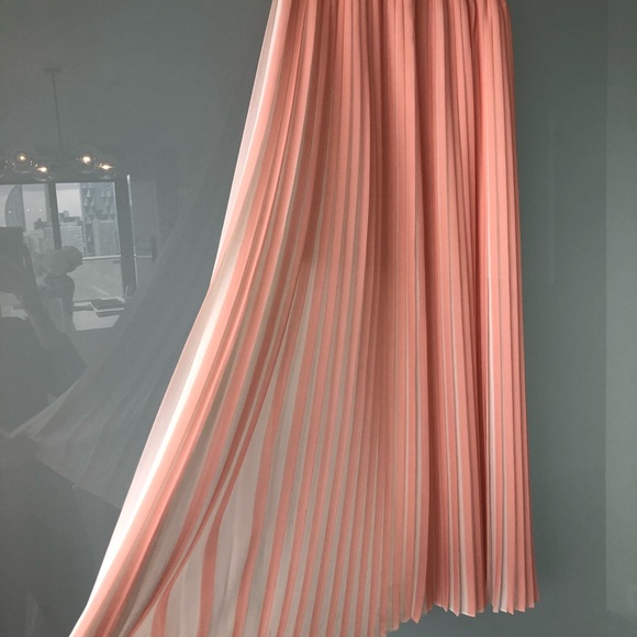 CLUB MONACO Rose/White Maxi Skirt - Picture 2 of 6